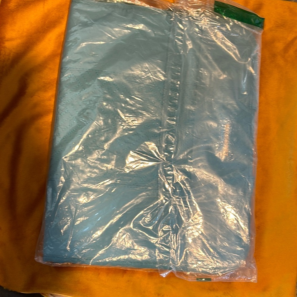 Bagsmart Green 16x16 Nwt